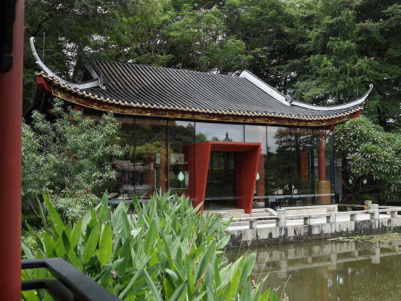 Carcasa de la cadena