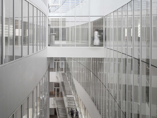 New-York-University1