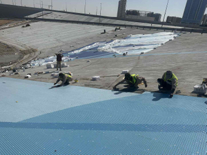 La armonía de mosaico ecológico de Dubai en el cuidado1