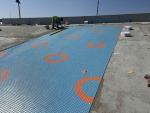 La armonía de mosaico ecológico de Dubai en el cuidado3