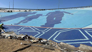 El mosaico ecológico de Dubái: armonía en el cuidado4